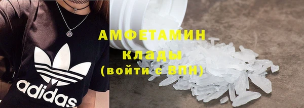СК Алексин