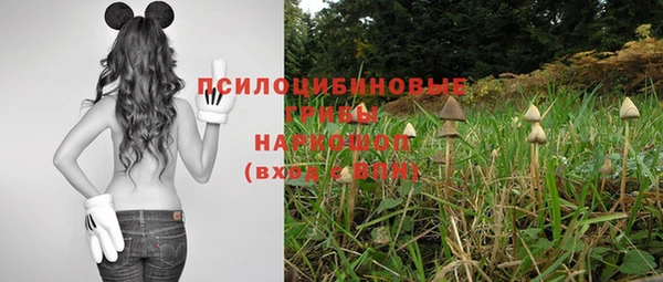 СК Алексин