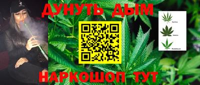 прущие крисы Новозыбков