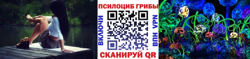 hydra ссылки  Чайковский  Псилоцибиновые грибы GOLDEN TEACHER  цена  