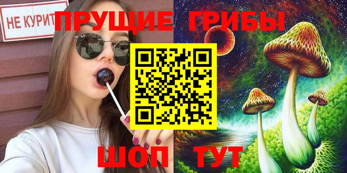 закладка  Вход с VPN  Чайковский  Псилоцибиновые грибы MAGIC MUSHROOMS 