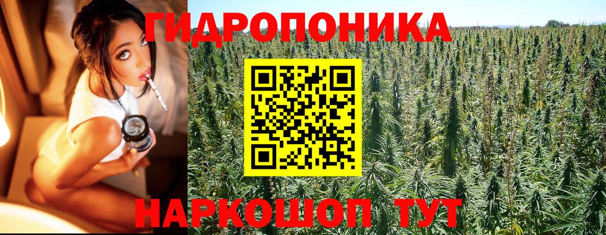 Конопля Amnesia Чайковский